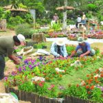 Baguio in photos