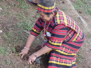 Benguet elder