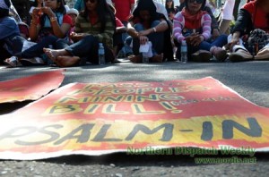 2011_1218nlsummitmarch02
