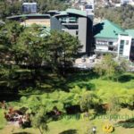 DENR hit for permit to cut trees