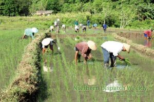 2012_0624bayanihan