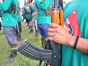 SALUTE. Members of the New People's Army execute a gun salute during their ceremonies to celebrate the anniversary of the NPA. Photo grabbed from www.ndfp.net
