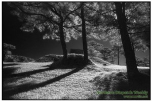 One of Tymans' photos, Bench at Camp John Hay Golf Course 1981, in exhibit at the BenCab Museum. Photo courtesy of BenCab Museum