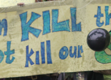 Militants hit Court decision for SM’s tree cutting