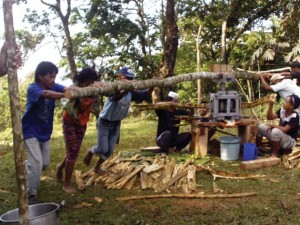 DAPIL. Poswoy folk squeezing the sugar cane juice, the main ingredient of muscovado. Photo courtesy of MRDC