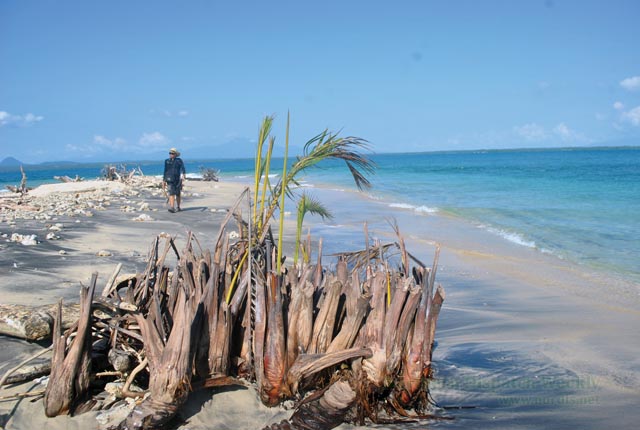 NO MORE LAND. The beautiful Calaguan Islands are not immune to the effects of Climate Change. The land area is getting smaller, constricting agriculture and residential areas. Photo by Jude Baggo