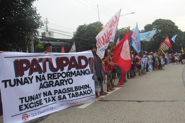 PAGHAMON. Nagpicket ang mga magsasaka ng Ilokos sa opisina ng Department of Agrarian Reform (DAR) nong Oktubre 7 at nanawagan ng pagpapataas ng presyo ng tabako, libreng irigasyon at pakikiisa nila sa paglaban para sa lupa at kapayapaan. Photo courtesy of Katrina Polintang