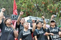 61 scprotest-supportCJsereno_candice.jpg